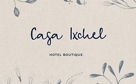 Casa Ixchel - 700M To Downtown, Wifi, Hot Water, Ac